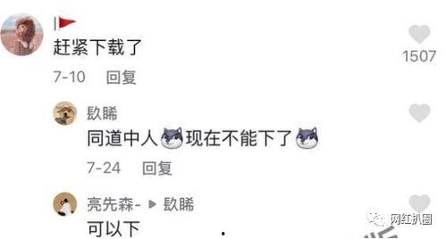 比奇堡名媛吃瓜视频,一场豪门盛宴背后的八卦风云