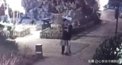 武鸣吃瓜事件视频完整版,揭秘视频完整版背后的真相与争议