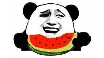 搞笑点评吃瓜博主视频,笑料百出！吃瓜博主视频搞笑点评大盘点
