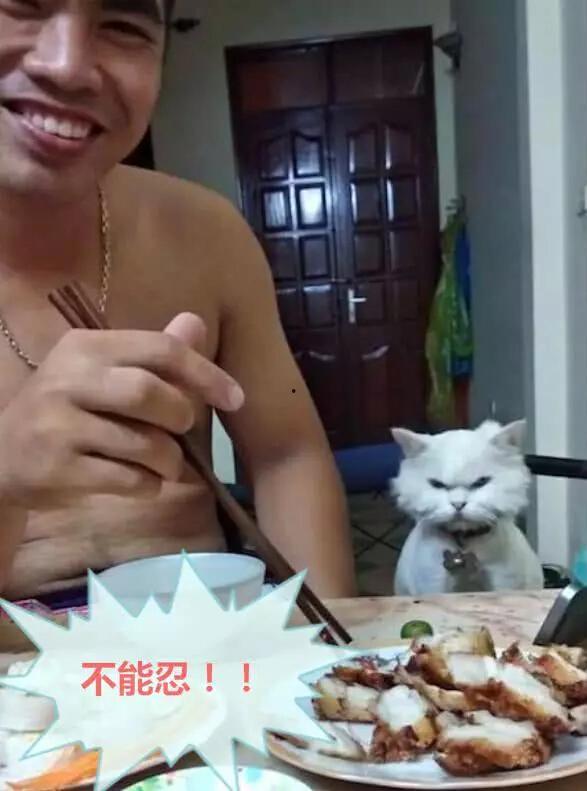 赛文主人吃瓜视频,揭秘娱乐圈幕后故事