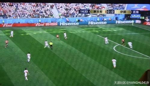 吃瓜群众踢足球视频大全,吃瓜群众踢球视频大盘点