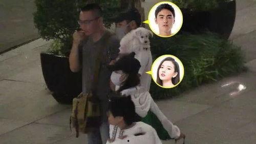 吃瓜群众偶遇爱情视频播放,吃瓜群众见证爱情火花