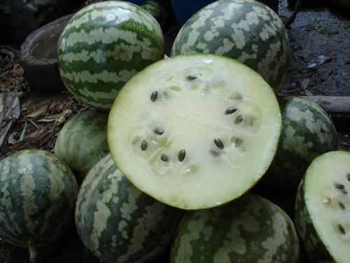 舟山脆瓜怎么吃才好吃视频,解锁最佳食用秘诀