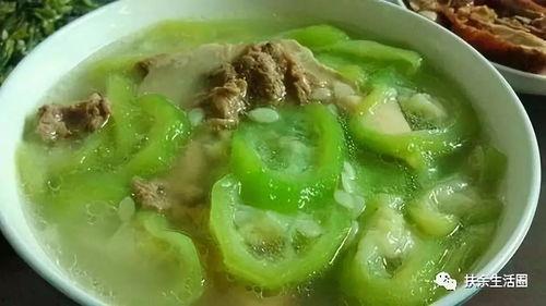 茭瓜可以煮芽菜吃吗视频