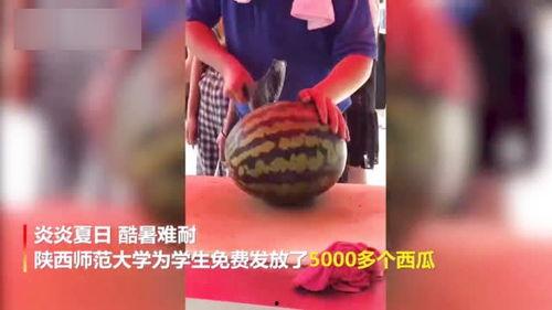 苏州大学老师吃瓜视频,吃瓜视频引发网友热议