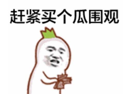 雨天吃瓜视频表情包大全,雨天吃瓜表情包大盘点