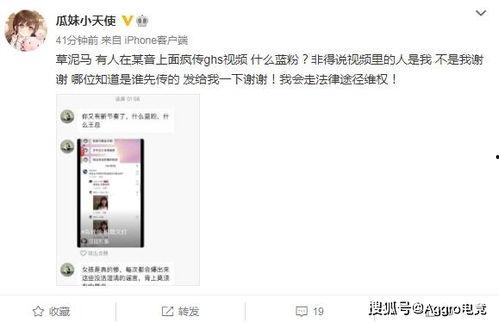 吃瓜视频网友投稿排行,热门话题盘点