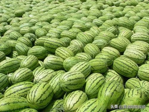 在哪里卖吃瓜视频,吃瓜视频的神秘销售地