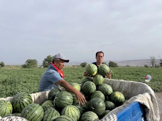 九龙坡区吃瓜事件视频,一场引发热议的网络风波