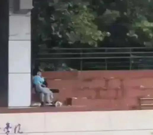 邵阳地下室吃瓜事件视频,神秘事件视频引发网友热议