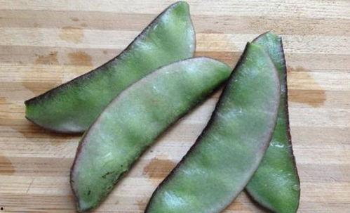 吃烂的茭瓜会中毒吗视频,视频揭秘真相