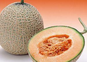 小兔兔吃哈密瓜视频